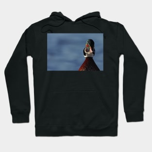 Morning Wood - Wood Duck Hoodie